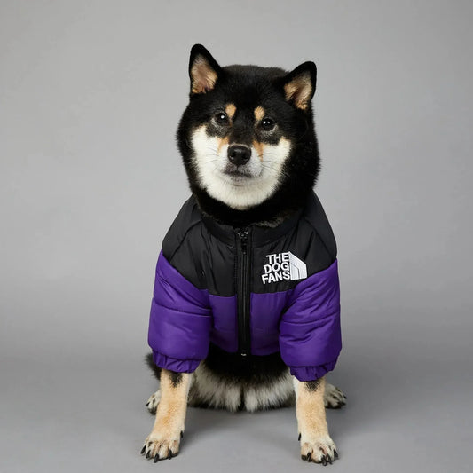 Winter Warm Dog Down Jacket