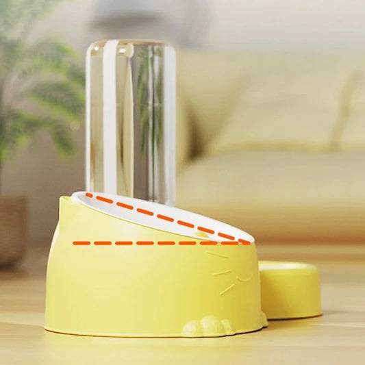 2 In 1 Pet Feeder Bowl