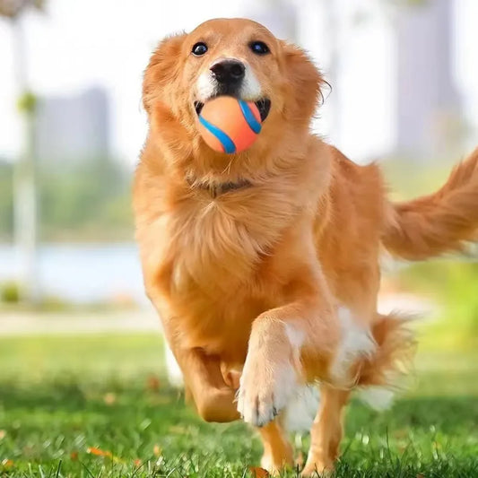 Tough Rubber Dog Fetch Ball