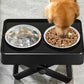 Elevated Stainless Steel Dog Bowl